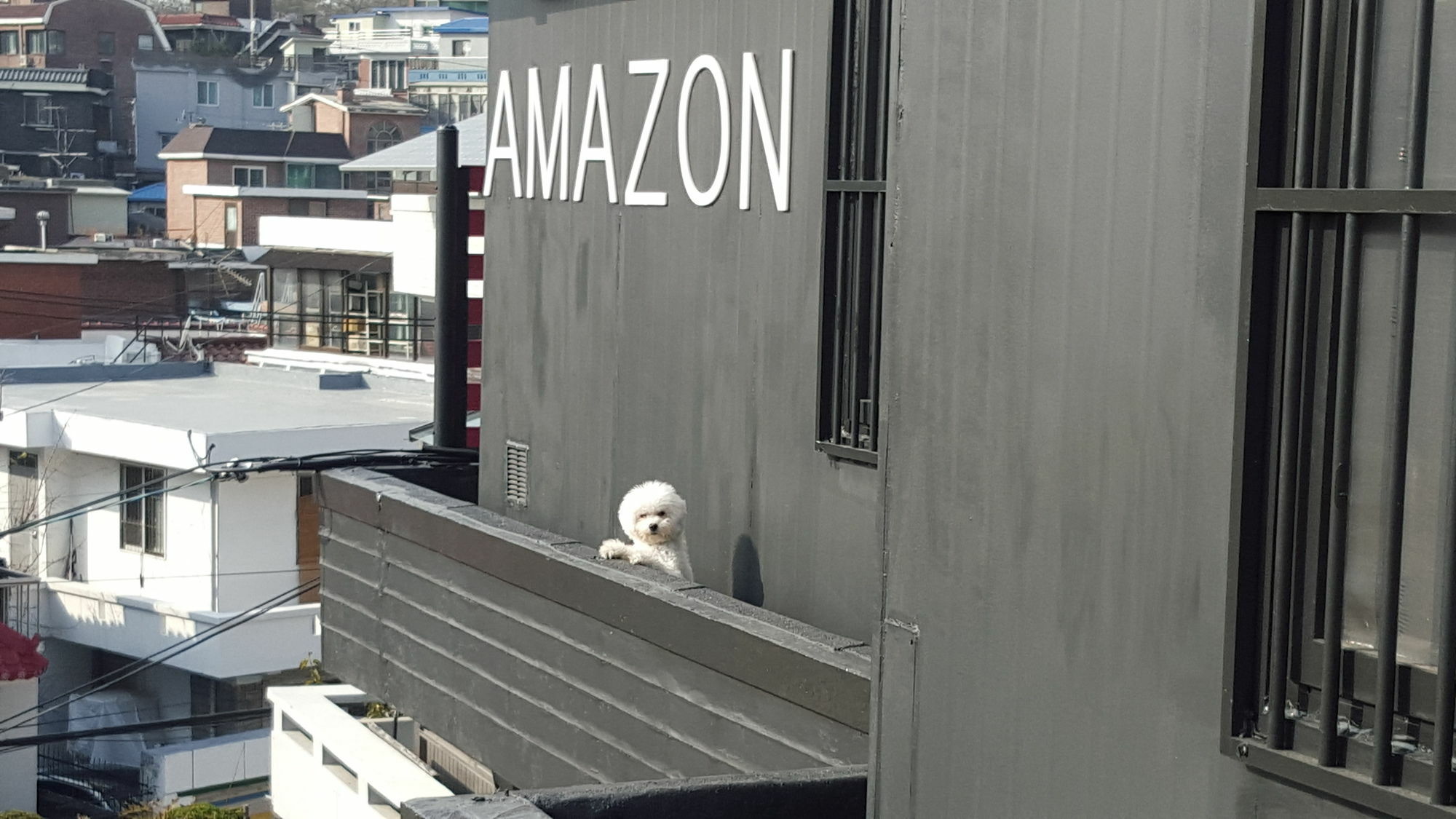 Amazon Guesthouse Seoul Bagian luar foto