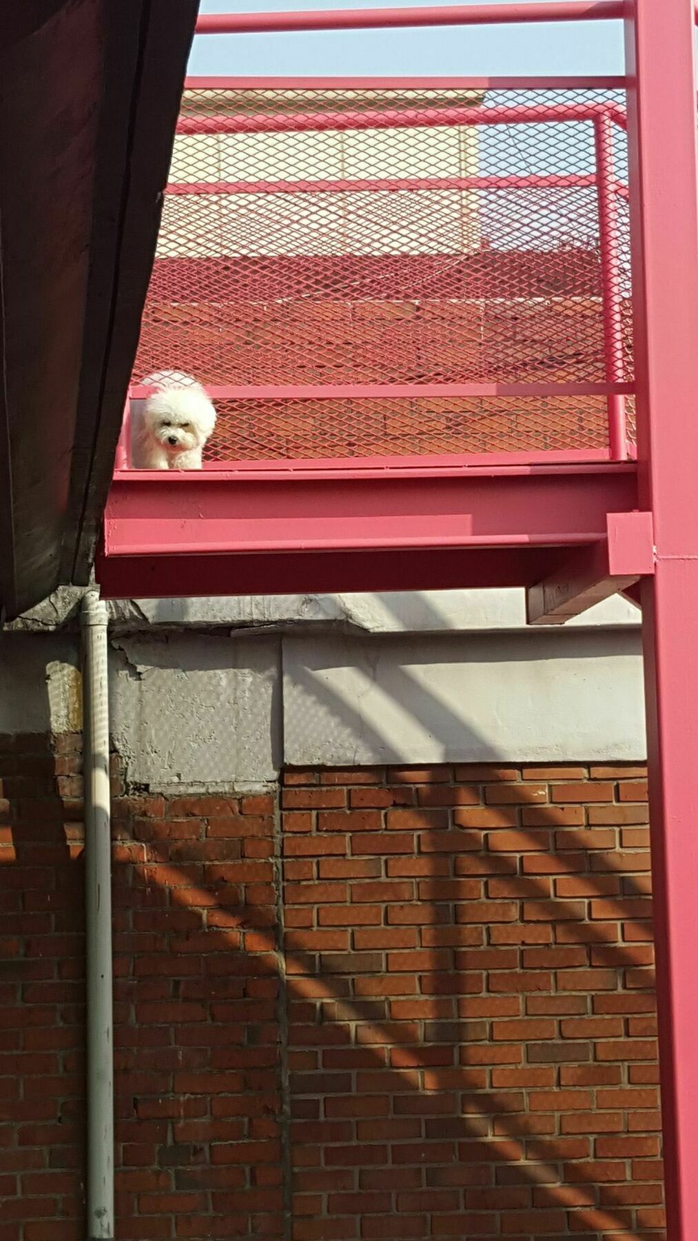 Amazon Guesthouse Seoul Bagian luar foto